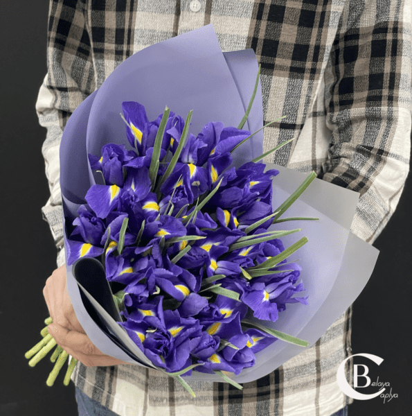 Купить Монобукет из 17 ирисов цена: 3400руб. Синие ирисы - BelayaCaplya