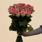 2023-03-01-04-45-14-PhotoRoom.png-PhotoRoom.jpg