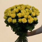 2023-03-01-04-55-32-PhotoRoom.png-PhotoRoom.jpg